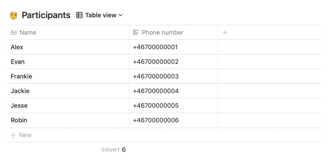 Example of how the Notion database could look like with entries